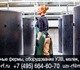 Скачать бесплатно foto Рыбалка УЗВ оборудование для разведения осетра лосося судака австралийских раков сомов форели креветок карпа, Купить УЗВ оборудование в России для выращивания лосося креветок 3982276 в Москве Foto в Хобби и увлечения Рыбалка Купить УЗВ оборудование для разведения осетра в Москве 1 590 000