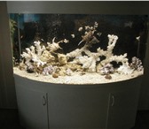 Фотография в Домашние животные Услуги для животных Проектирование и установка аквариумовУстановка в Сочи 0