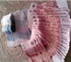 Скачать изображение Грызуны Разведение шиншилл по договору 408939 в Москве Фото в Домашние животные Грызуны Предлагаем Вашему вниманию новый бизнес в в Москве 13 000