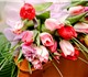 Скачать foto Растения Тюльпаны из Голландии к 8 марта! Опт и розница! 1810086 в Новосибирске Фото в Домашние животные Растения Галерея event-решений “VIAART” предлагает в Новосибирске 28
