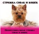Скачать фотографию Стрижка собак Стрижка собак и кошек в Нижнем Тагиле 168596 в Москве Изображение в Домашние животные Стрижка собак Уважаемые владельцы! Хочу предложить Вам в Москве 800
